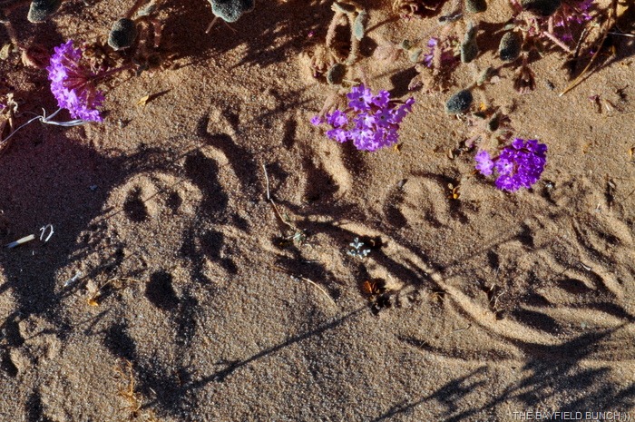 [DSC_0043%255B4%255D.jpg]