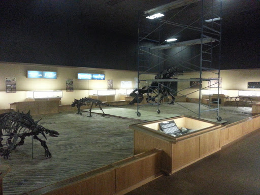 Dinosaur Discovery Gallery
