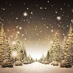 new-year-2009-wallpapers_11741_1280x800.jpg