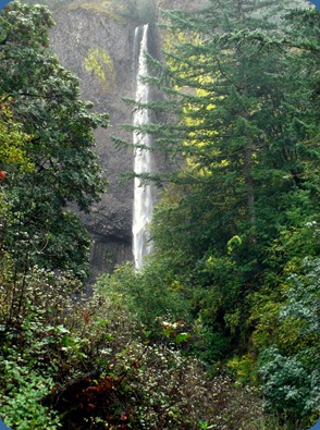 Latourell Falls (1)