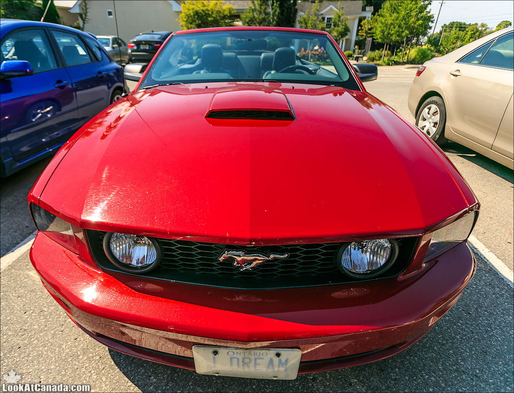 LookAtIsrael.com: Фото-блог о путешествиях по Израилю. Тель Авив, Иерусалим, Хайфа  