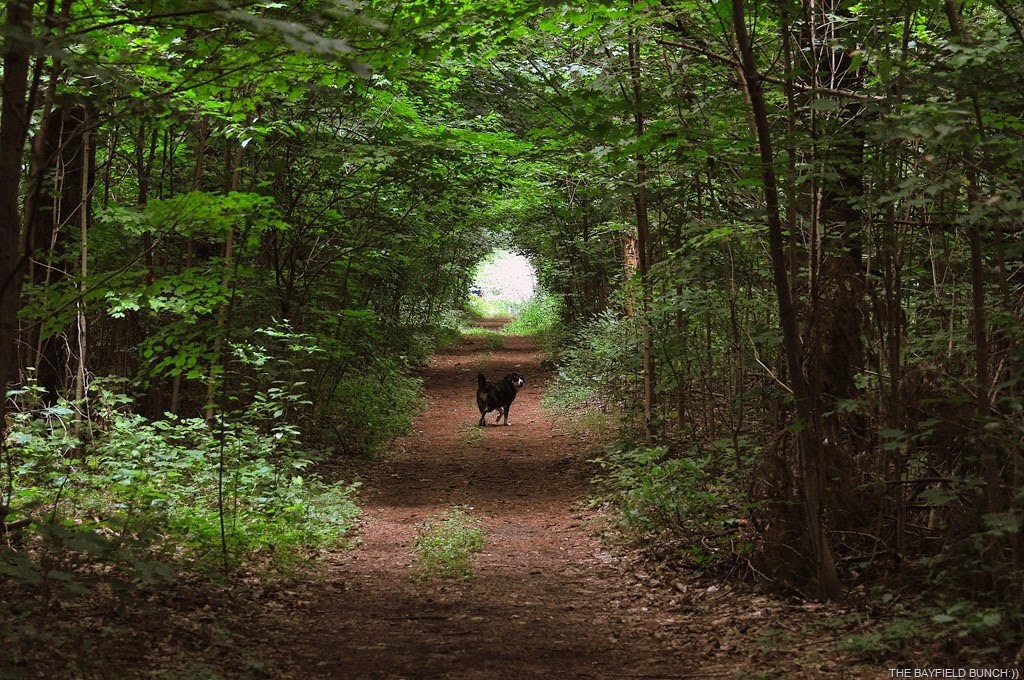 [DSC_0008%255B4%255D.jpg]