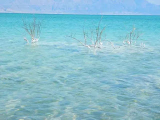 Màu nước tuyệt đẹp của Biển Chết.