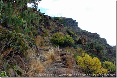 7842 Temisas-Agüimes(Los Cañadones) 7842 Temisas-Agüimes(Los Cañadones)