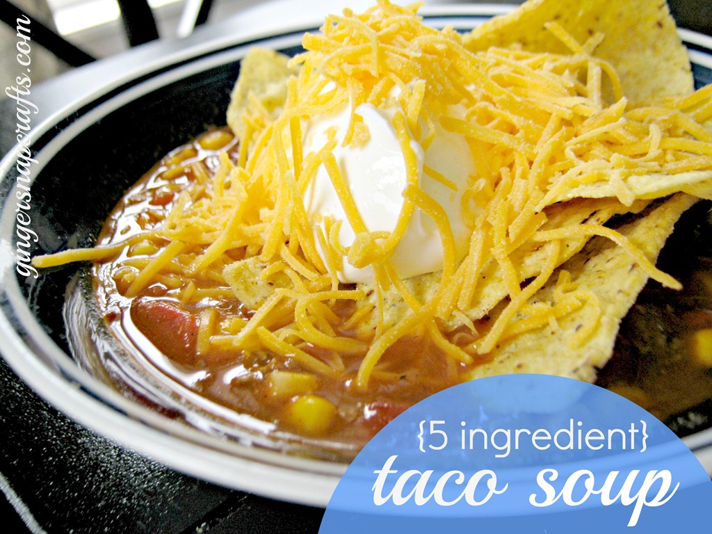 [5-ingredient-taco-soup-recipe4.jpg]