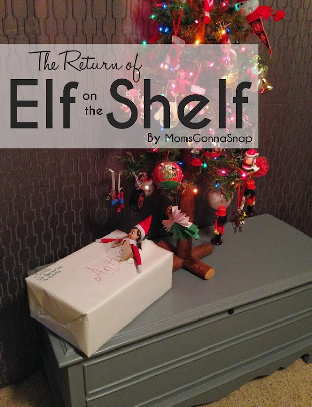 Elf on the Shelf Returns by MomsGonnaSnap