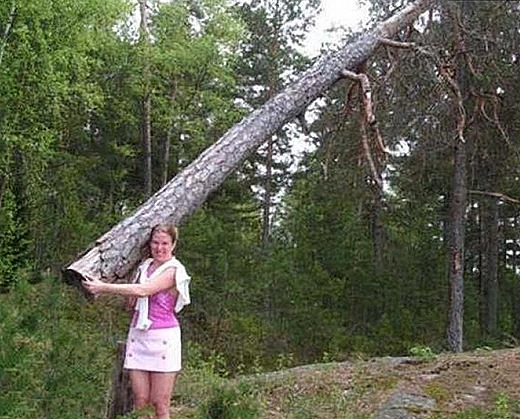 [rastreador_1049239224%255B7%255D.jpg]