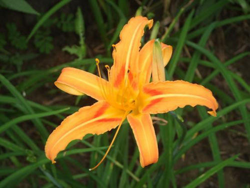 [image%255B26%255D.png]