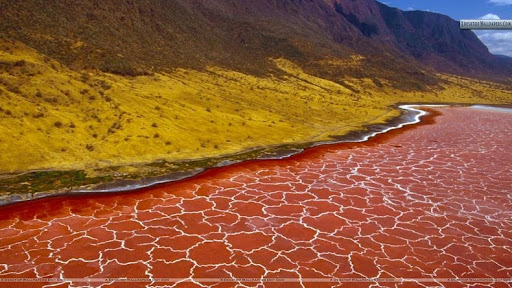 lago natron tanzania lago natron tanzania