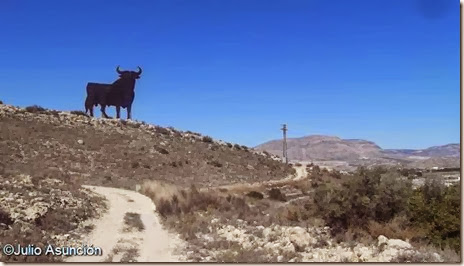 Toro de Osborne en la sierra de la Pedrera - Alicante