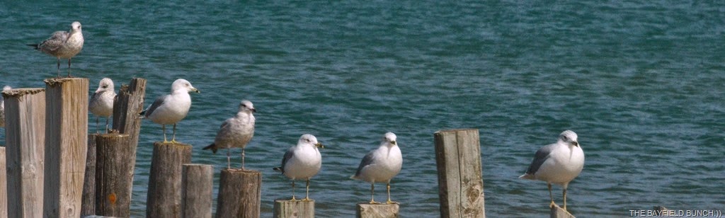 [DSC_0009-001%255B4%255D.jpg]