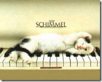 gato pianista blogdeimagenes (13)