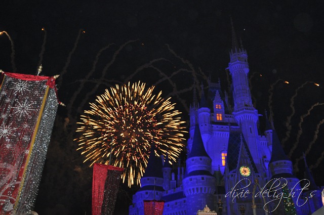 [Disney%2520December%25202012%2520435%255B3%255D.jpg]