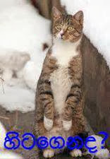 fb-photocomments.blogspot.com-2yf%252520c.jpg