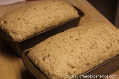 sprouted-rye-spelt-bread_19