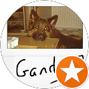 Image Google de Franck Pasquarelli
