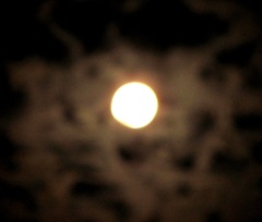 Blue moon full moon 2. 8.31.12