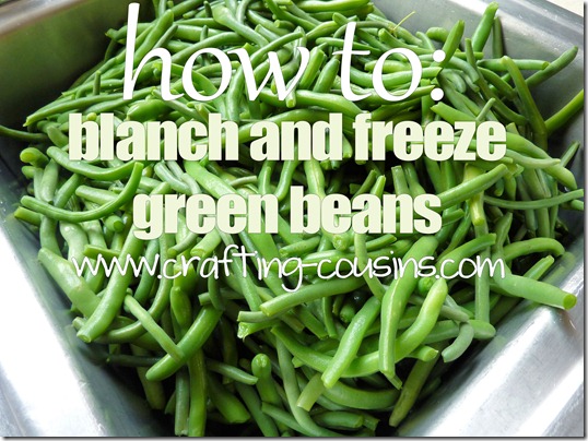 Crafty Cousins' tips on how to blanch and freeze fresh green beans