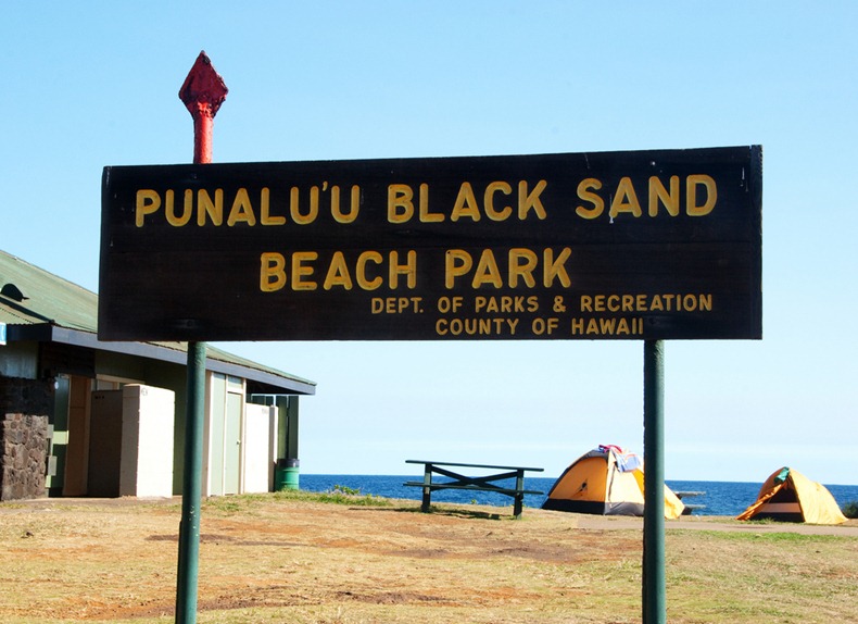 punaluu-black-beach-5
