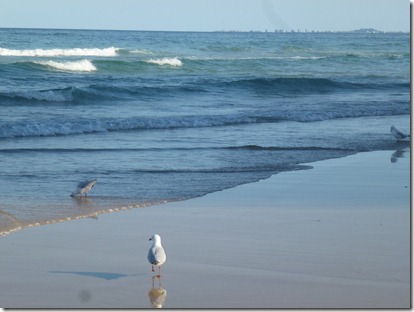 December 2012 Gold Coast 026