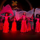IMG_9071.jpg
