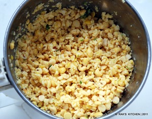 dal DSC_4863