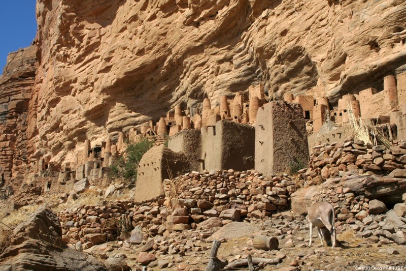 [oBANDIAGARA9002.jpg]