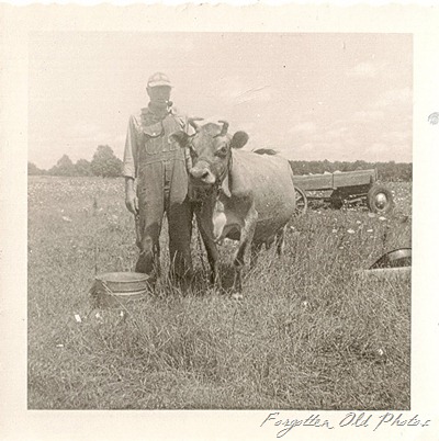 Cattleman DL Antiques