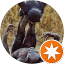 Daniel p.,LocalHabitat