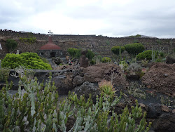 Lanzarote 2011 - - 026