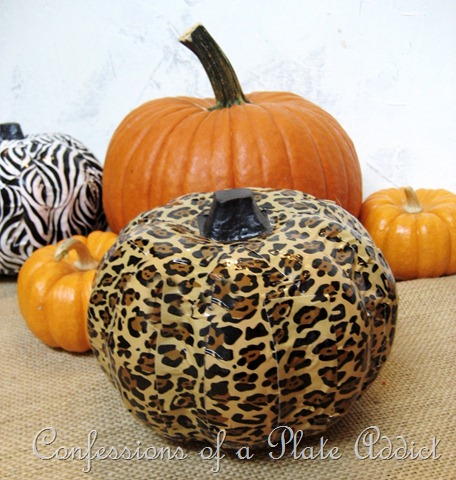 [Leopard%2520Pumpkin%255B9%255D.jpg]