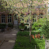 image_from_picasa