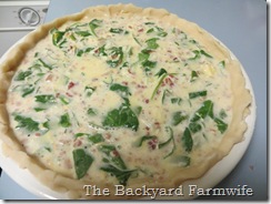 Bacon spinach quiche - The Backyard Farmwife