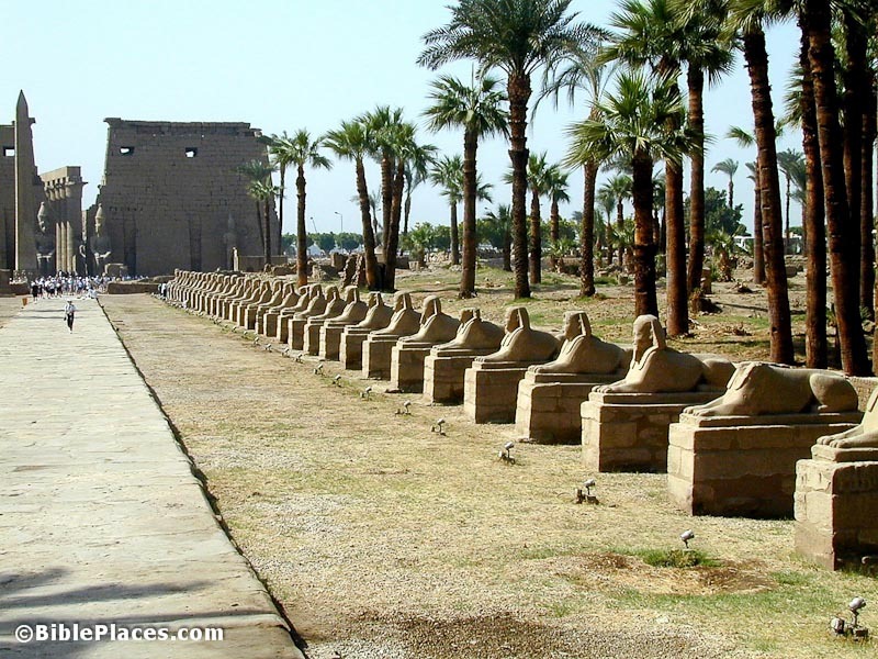 [Luxor%2520Temple%2520Avenue%2520of%2520Sphinxes%252C%2520tb110500232%255B4%255D.jpg]