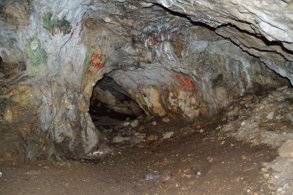 [DSC_22253.jpg]