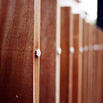 89120020_s.jpg