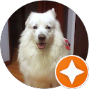 Allinson rodríguez guerra