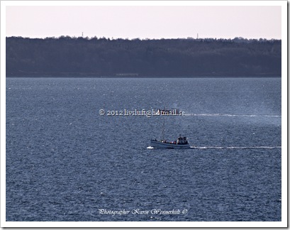 P1012516RC P1012516RC