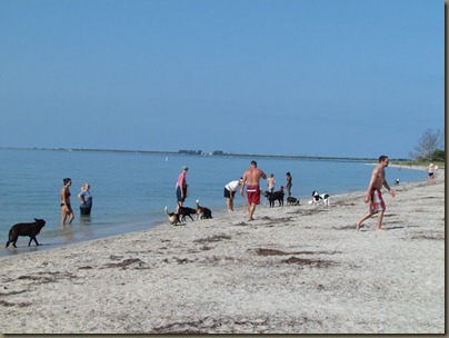 dog beach