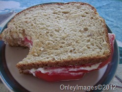 tomato sandwich (7)