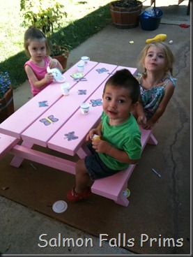 childs picnic table-2