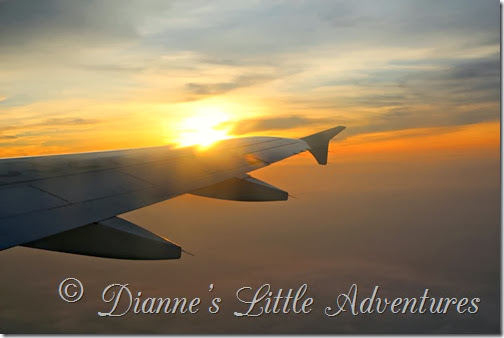 Dianne's Little Adventures