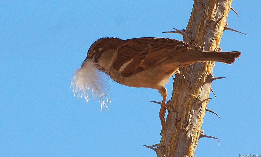 [DSC_0753%255B3%255D.jpg]