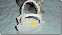 Pebbles--showing--how-small-purse-is