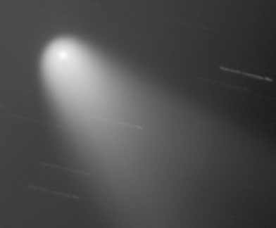 coma do cometa PANSTARRS
