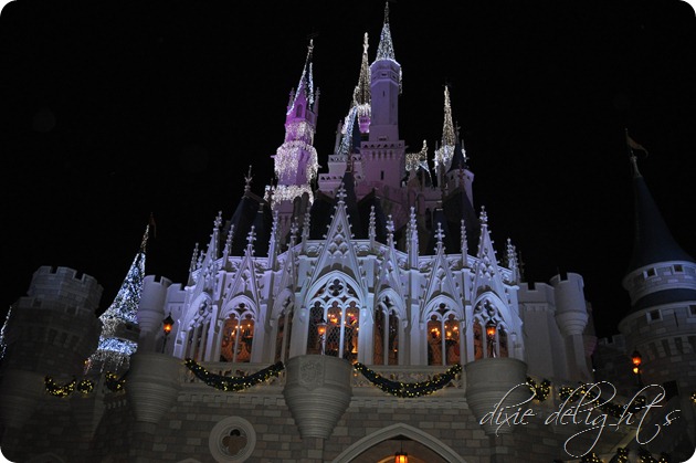Disney December 2012 489