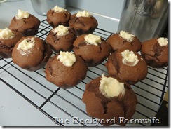 chocolate coconut cupcakes - The Backyard Farmwife