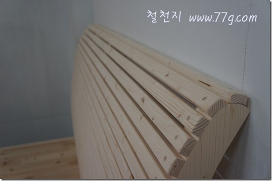 철천지DSC01740-20120524-094907