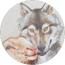 Image Google de Jean Meiresonne