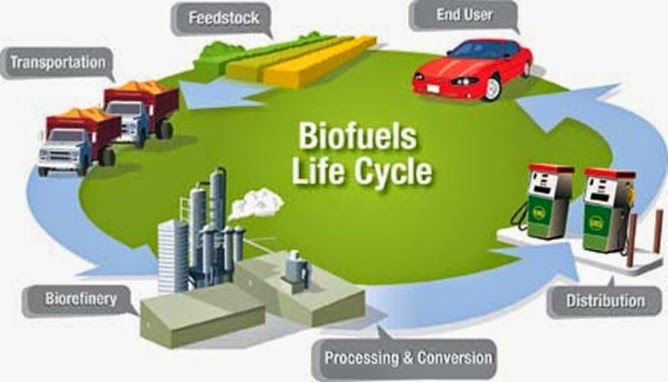 BiofuelLifeCycle1